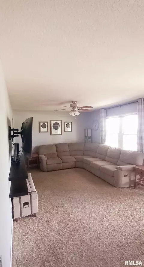 Living - 220 N Eastview St, Camp Point, IL 62320 photo 2 of 2