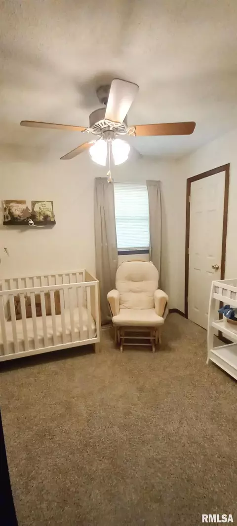 Other - 220 N Eastview St, Camp Point, IL 62320 photo 4 of 4