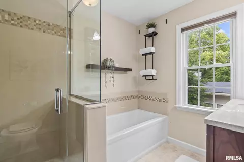 Bath - 1417 S Douglas Ave, Springfield, IL 62704 photo 5 of 5