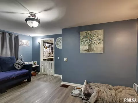 Entry Way - 501 N Chestnut St, Mendon, IL 62351 photo 1 of 1