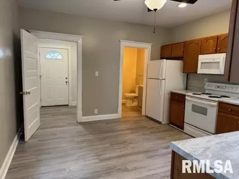 Entry Way - 1131 N 5th St, Springfield, IL 62702 photo 3 of 4