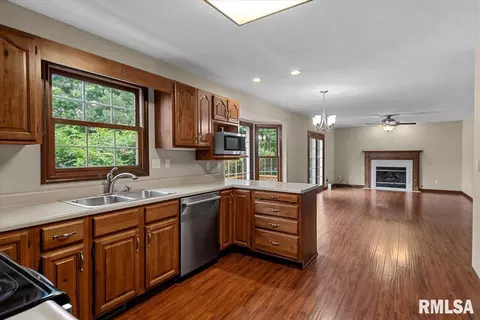 Other - 4517 Santa Clara Dr, Springfield, IL 62711 photo 3 of 12