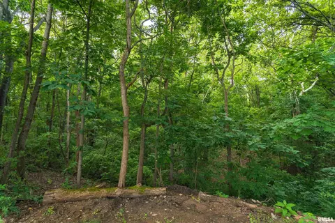 Exterior - 1885 Central Point Rd, Cantrall, IL 62625 photo 20 of 22