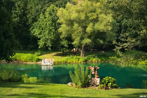 View/Area - 1885 Central Point Rd, Cantrall, IL 62625 photo 19 of 19