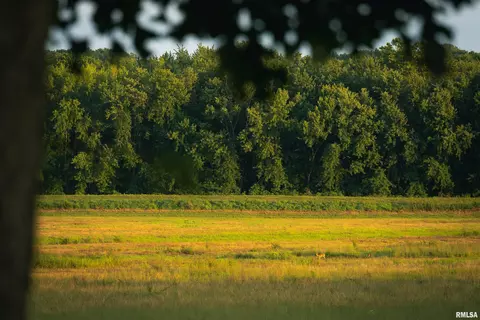 Other - 1885 Central Point Rd, Cantrall, IL 62625 photo 25 of 42