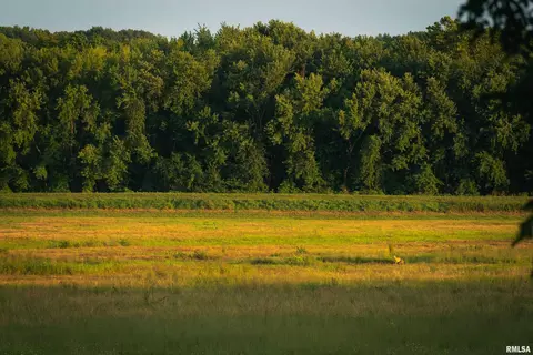 Other - 1885 Central Point Rd, Cantrall, IL 62625 photo 34 of 42