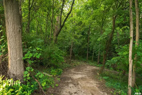 Other - 1885 Central Point Rd, Cantrall, IL 62625 photo 37 of 42