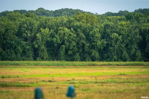 Other - 1885 Central Point Rd, Cantrall, IL 62625 photo 26 of 42