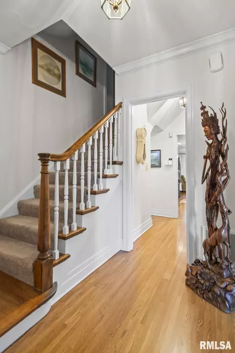 Entry Way - 1910 Wiggins Ave, Springfield, IL 62704 photo 2 of 5