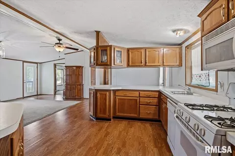Other - 425 E North St, Pittsfield, IL 62363 photo 7 of 15