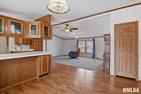 Other - 425 E North St, Pittsfield, IL 62363 photo 4 of 15