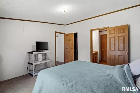 Bedroom - 425 E North St, Pittsfield, IL 62363 photo 6 of 7