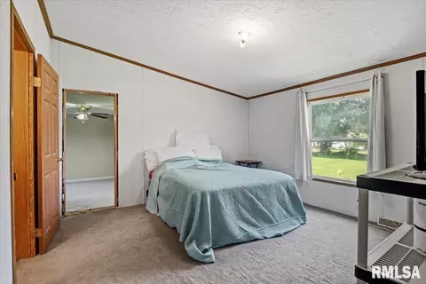 Bedroom - 425 E North St, Pittsfield, IL 62363 photo 4 of 7