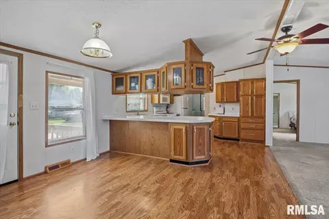 Other - 425 E North St, Pittsfield, IL 62363 photo 5 of 15