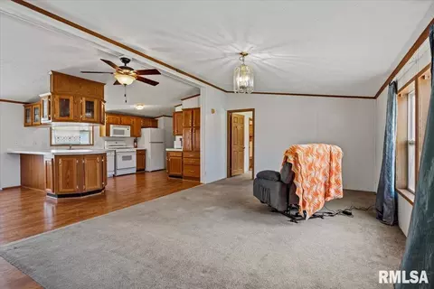 Other - 425 E North St, Pittsfield, IL 62363 photo 9 of 15