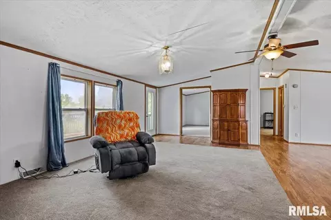 Living - 425 E North St, Pittsfield, IL 62363 photo 3 of 5