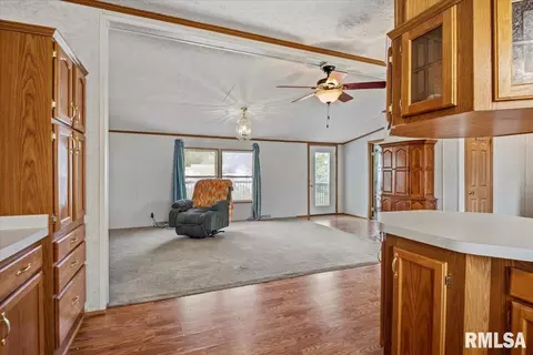 Other - 425 E North St, Pittsfield, IL 62363 photo 8 of 15