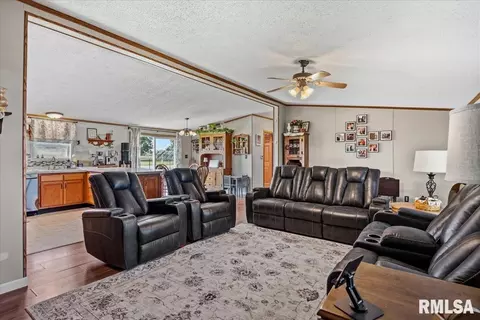 Living - 1001 E Old Route 36, Alexander, IL 62601 photo 2 of 2