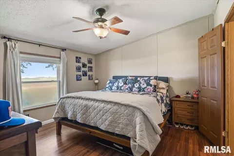 Bedroom - 1001 E Old Route 36, Alexander, IL 62601 photo 2 of 4
