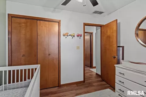 Other - 703 E Holden St, Virden, IL 62690 photo 7 of 9