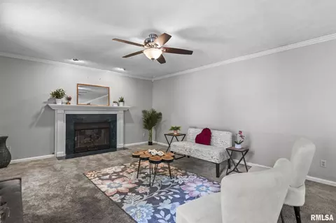 Living - 8 Abbey Ct, Chatham, IL 62629 photo 4 of 7