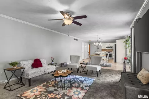 Living - 8 Abbey Ct, Chatham, IL 62629 photo 6 of 7