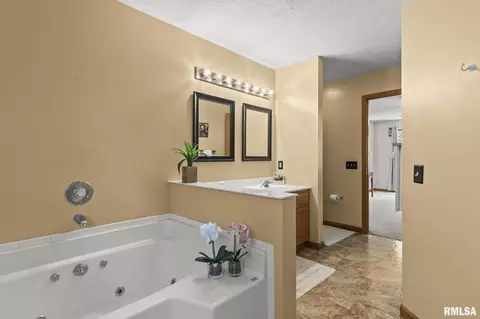 Bath - 8 Abbey Ct, Chatham, IL 62629 photo 3 of 4