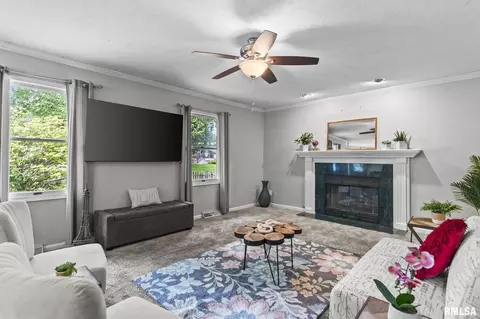 Living - 8 Abbey Ct, Chatham, IL 62629 photo 5 of 7
