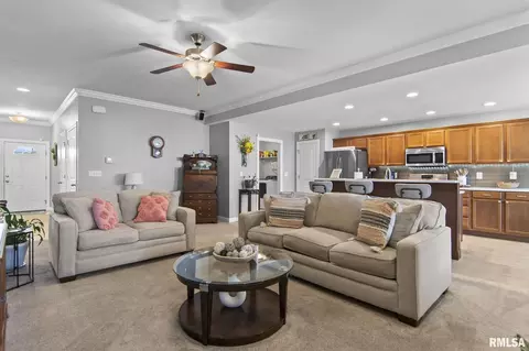 Living - 4809 Savoy Dr, Springfield, IL 62711 photo 2 of 6