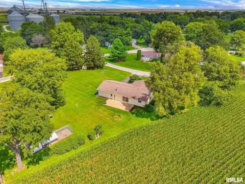 View/Area - 526 W Chestnut St, Oneida, IL 61467 photo 7 of 8