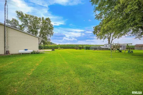 Exterior - 526 W Chestnut St, Oneida, IL 61467 photo 5 of 6