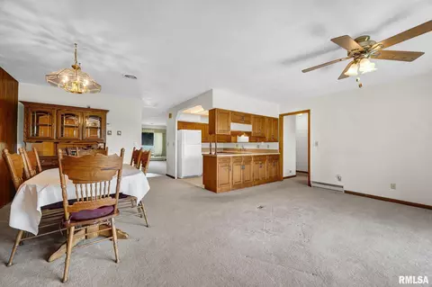 Other - 526 W Chestnut St, Oneida, IL 61467 photo 2 of 3