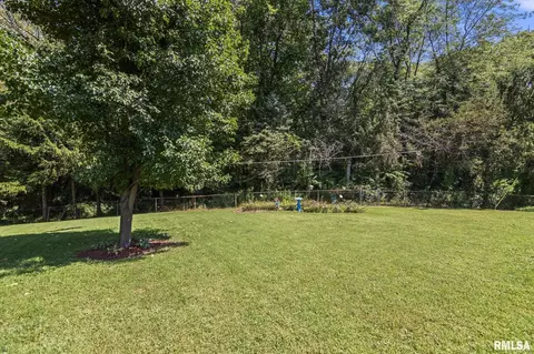 Exterior - 127 E Hawkeye Way, Springfield, IL 62707 photo 5 of 9