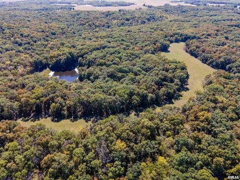 27234 State Highway Z Hwy, Canton, MO 63435 photo 26