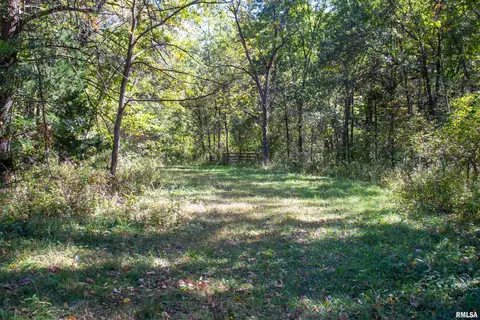 27234 State Highway Z Hwy, Canton, MO 63435 photo 18