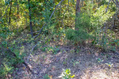 27234 State Highway Z Hwy, Canton, MO 63435 photo 45