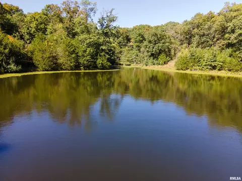 27234 State Highway Z Hwy, Canton, MO 63435 photo 31