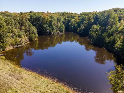 27234 State Highway Z Hwy, Canton, MO 63435 photo 40