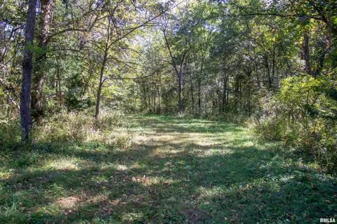 27234 State Highway Z Hwy, Canton, MO 63435 photo 19