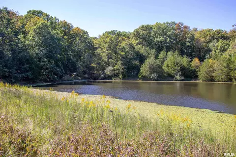 27234 State Highway Z Hwy, Canton, MO 63435 photo 38