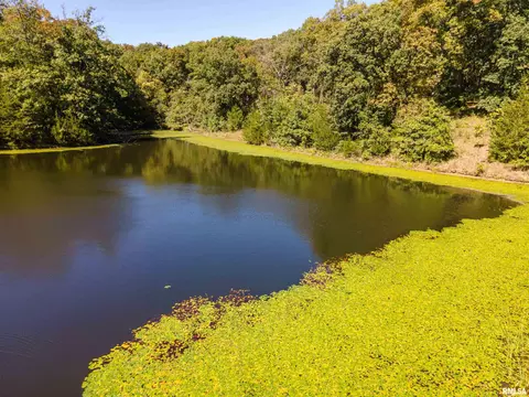 27234 State Highway Z Hwy, Canton, MO 63435 photo 32