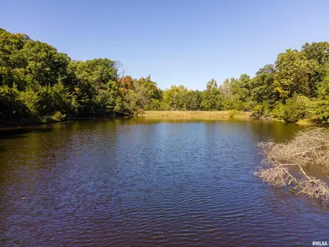27234 State Highway Z Hwy, Canton, MO 63435 photo 39