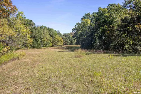 27234 State Highway Z Hwy, Canton, MO 63435 photo 22