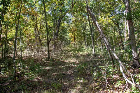27234 State Highway Z Hwy, Canton, MO 63435 photo 43