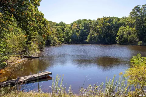 27234 State Highway Z Hwy, Canton, MO 63435 photo 48