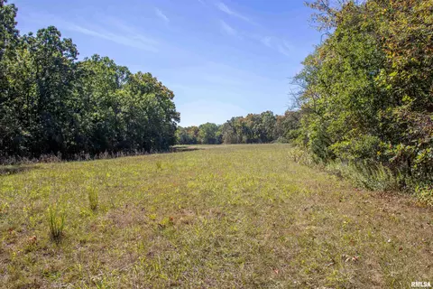 27234 State Highway Z Hwy, Canton, MO 63435 photo 21