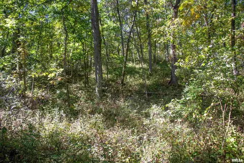27234 State Highway Z Hwy, Canton, MO 63435 photo 24