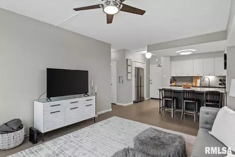 Living - 718 S 7th St, Springfield, IL 62703 photo 4 of 10