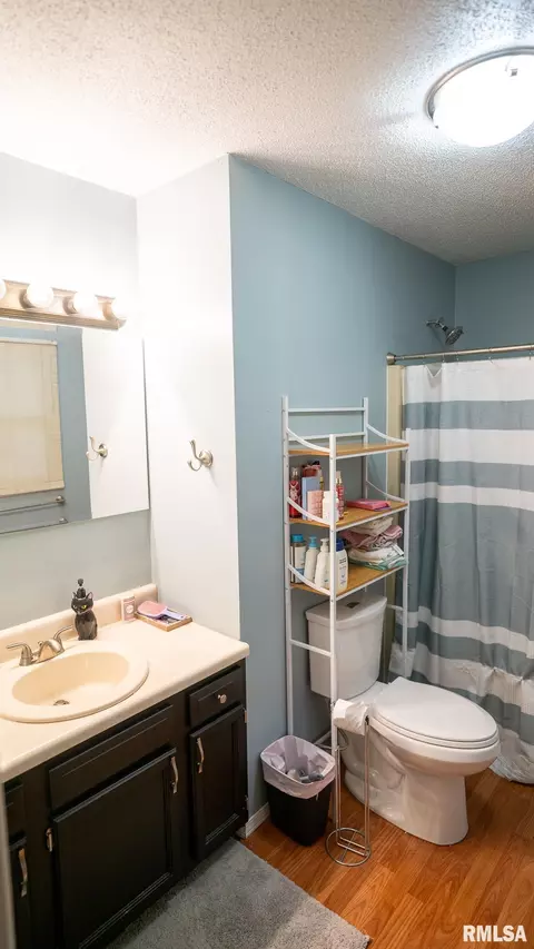 Bath - 5209 Carlton Dr, Springfield, IL 62703 photo 5 of 6