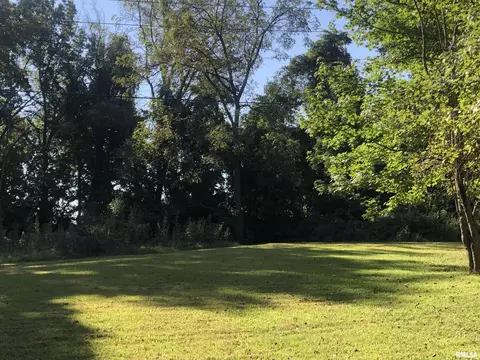 Exterior - 2310 E Lake Shore Dr, Springfield, IL 62712 photo 10 of 17